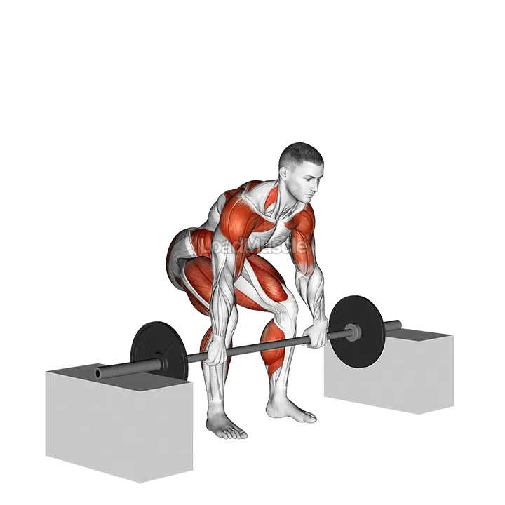 Barbell Clean From Blocks demonstration