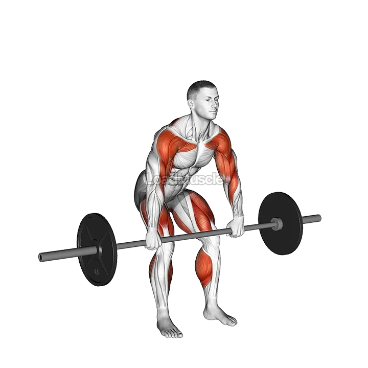 Barbell Hang Clean Below the Knees demonstration