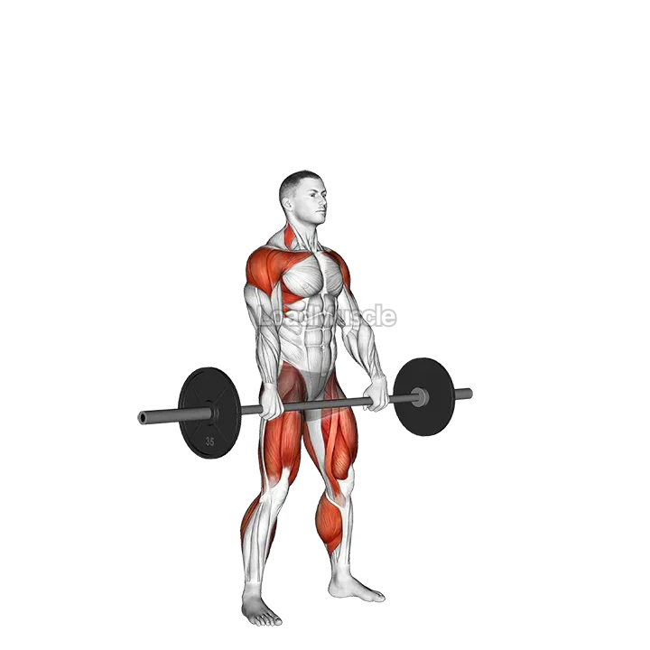 Barbell Hang Snatch demonstration