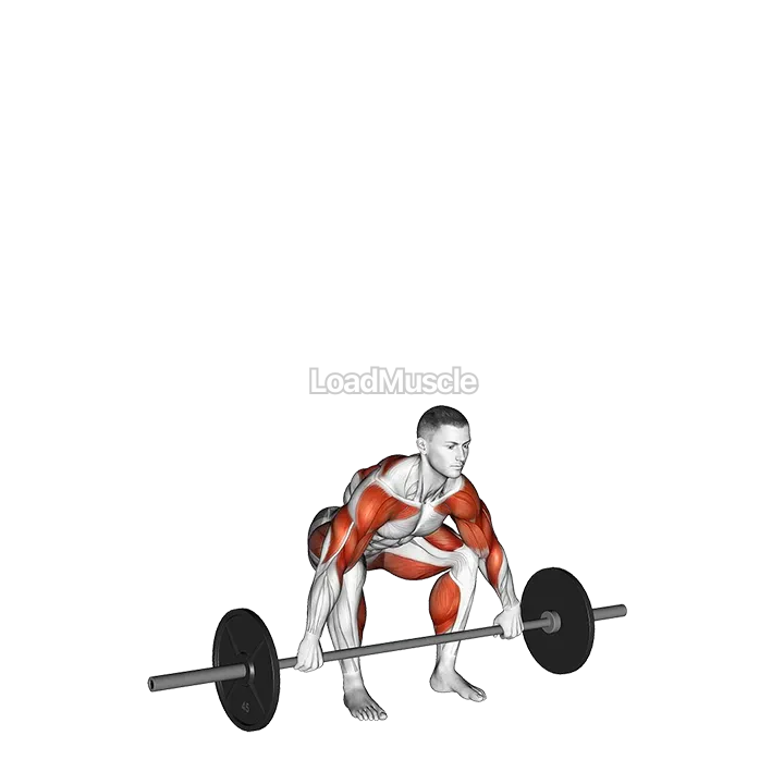 Barbell Muscle Snatch demonstration