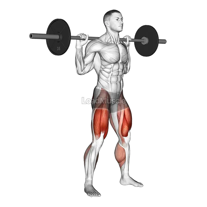 Barbell Olympic Squat demonstration