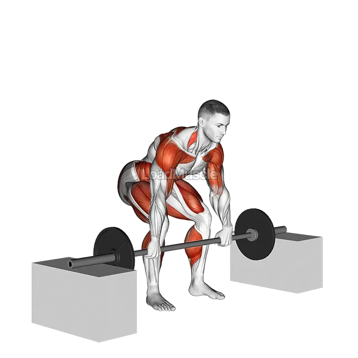 Barbell Power Clean from Blocks demonstration