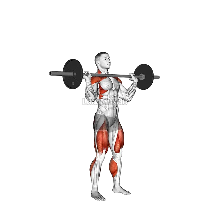 Barbell Power Jerk demonstration