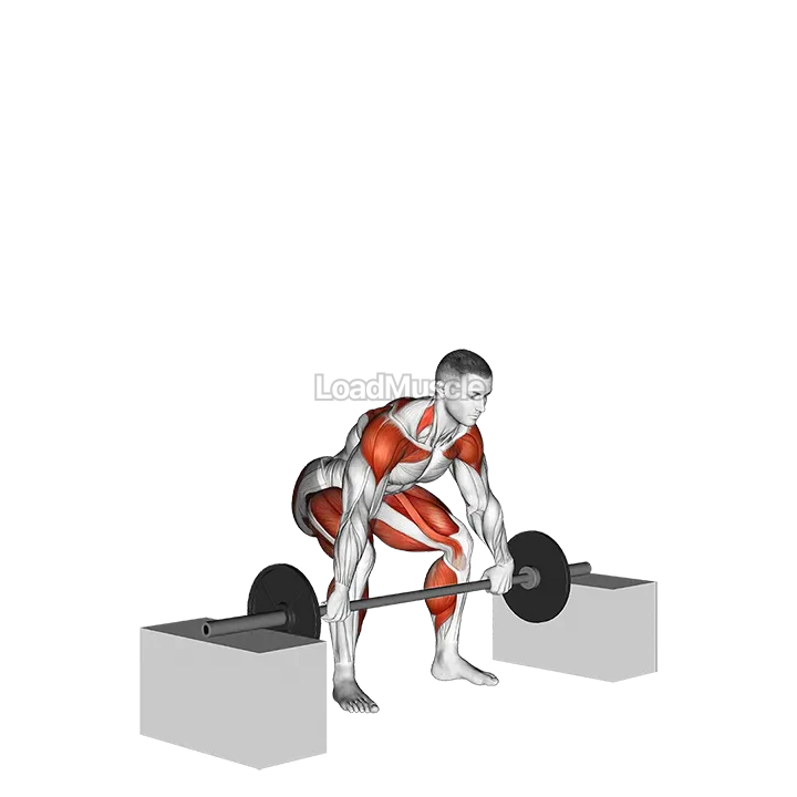 Barbell Power Snatch From Blocks demonstration