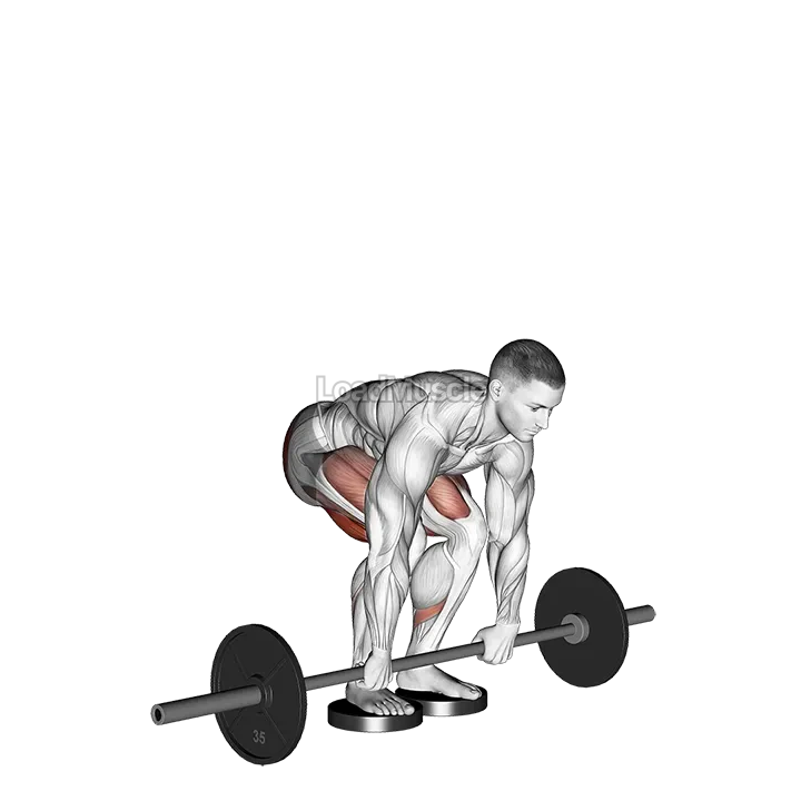Barbell Romanian Deadlift From Deficit demonstration