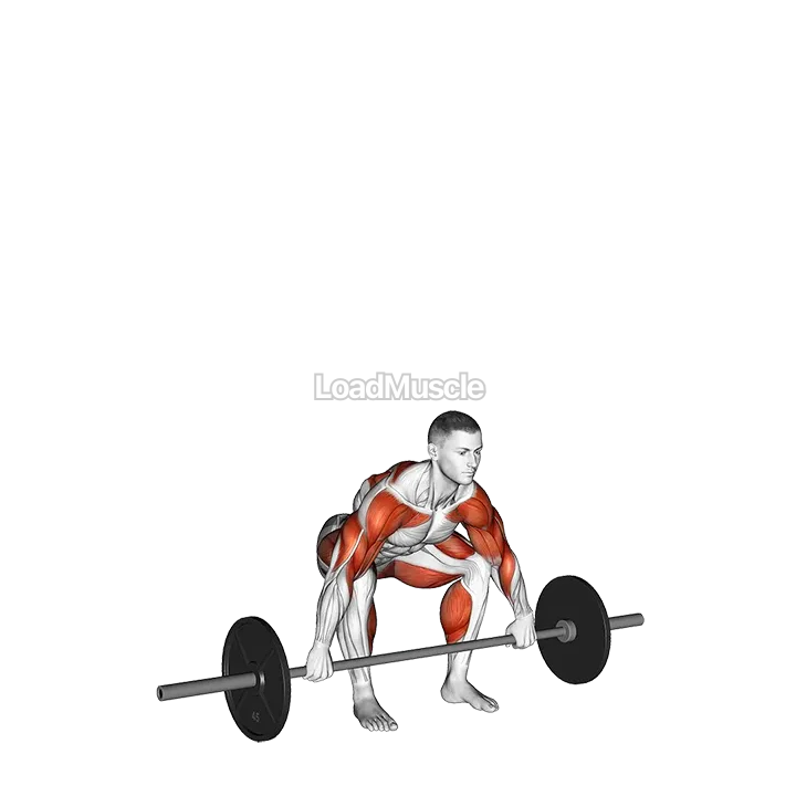 Barbell Snatch demonstration