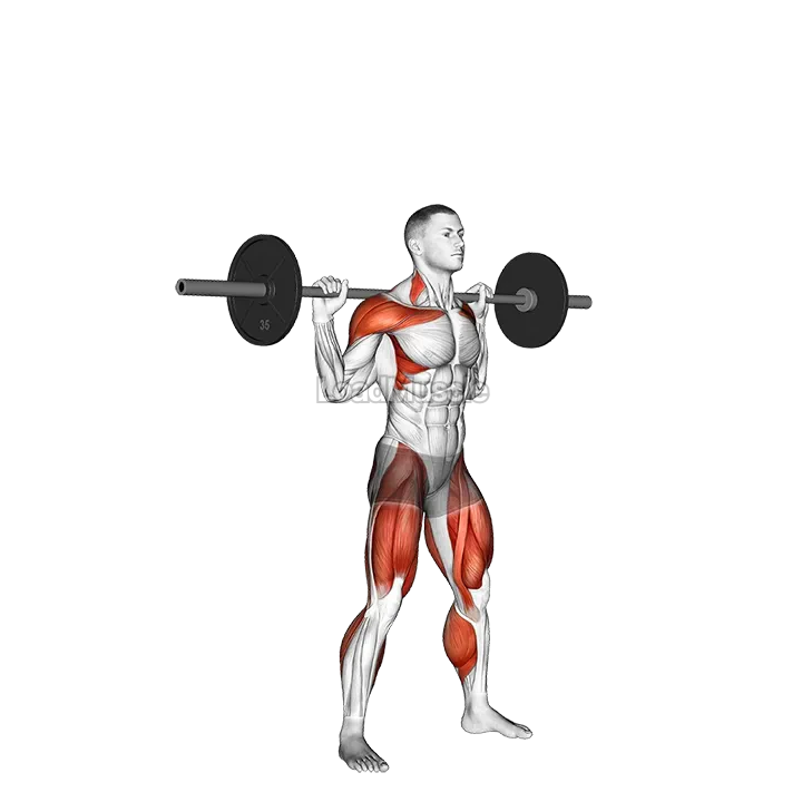 Barbell Snatch Balance demonstration