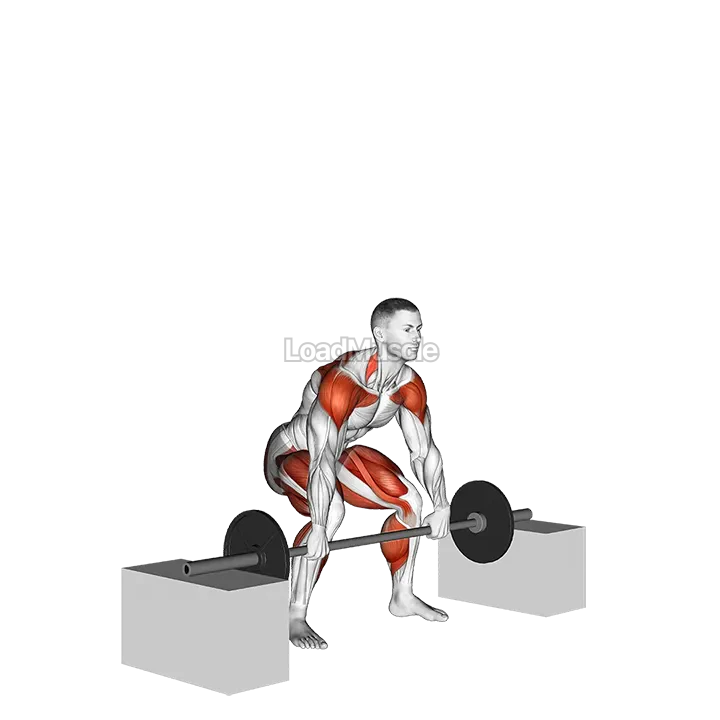 Barbell Snatch from Blocks demonstration