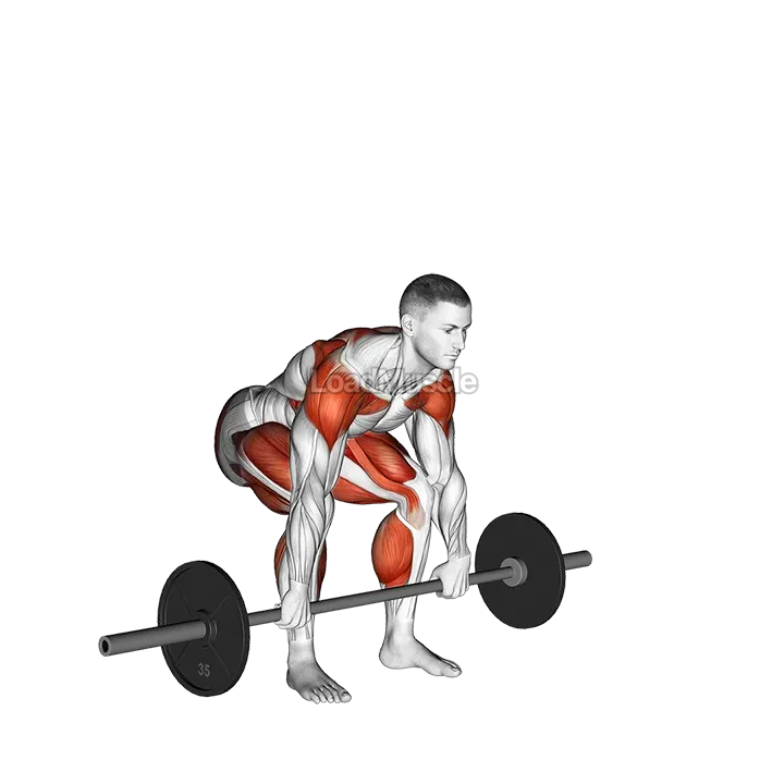 Barbell Split Clean demonstration