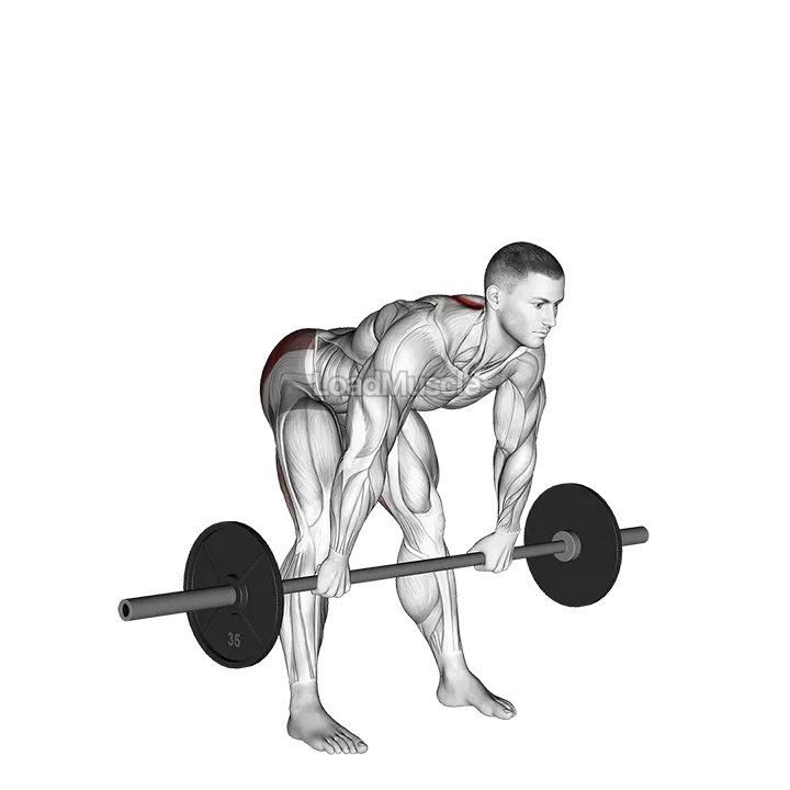 Barbell Wide Stance Stiff Leg Deadlift demonstration
