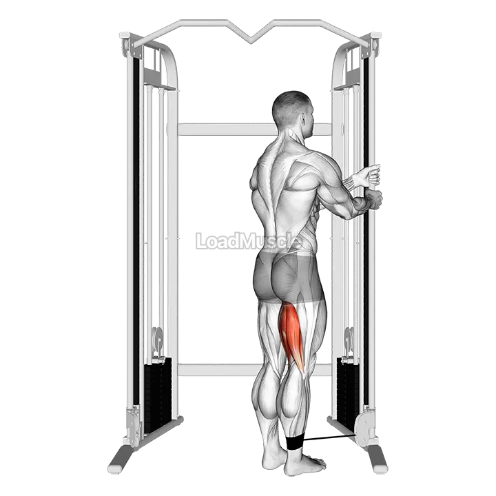 Cable Standing Leg Curl demonstration