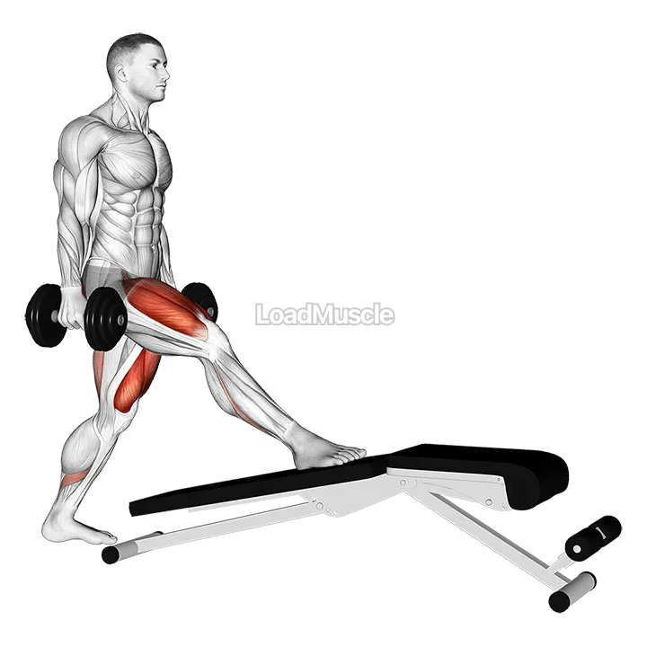 Dumbbell Decline Bench Lunge demonstration