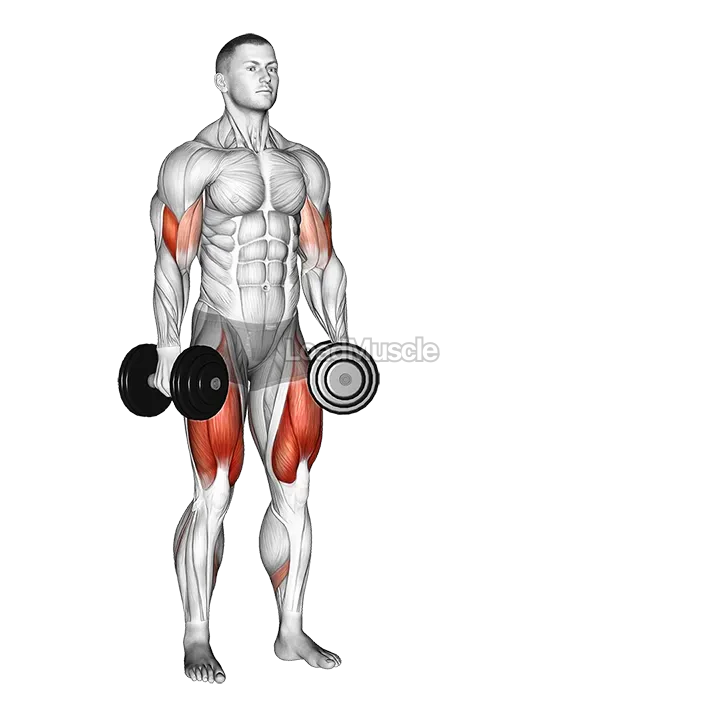 Dumbbell Lateral Lunge with Bicep Curl demonstration