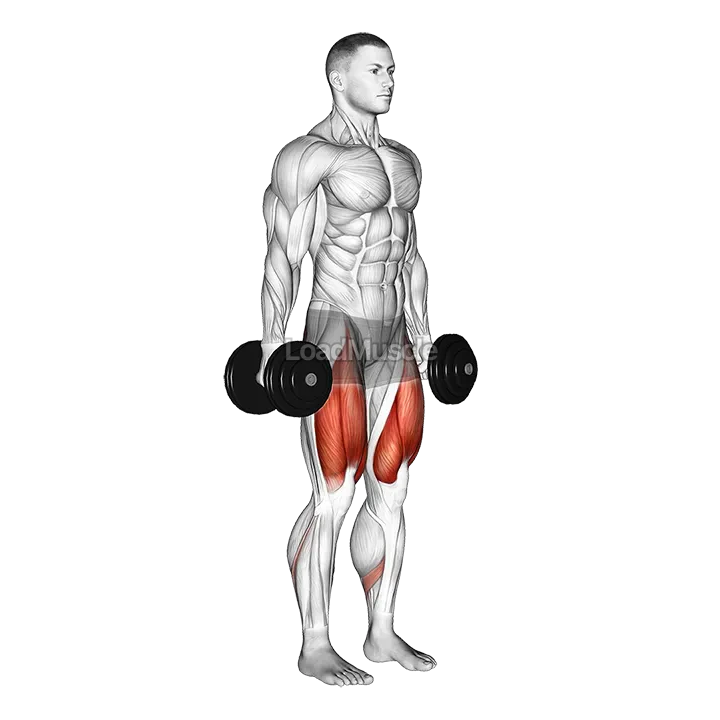 Dumbbell Squat demonstration