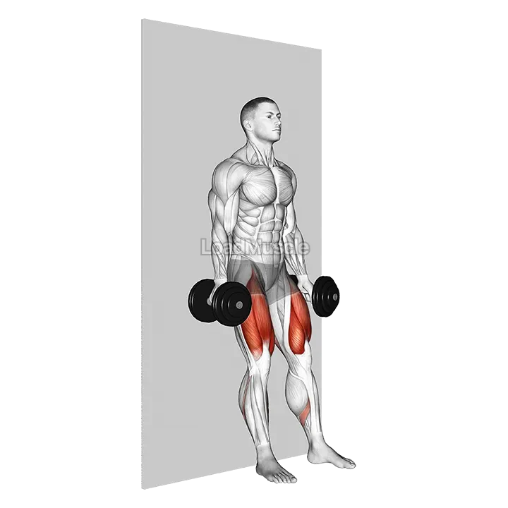 Dumbbell Wall Squat demonstration