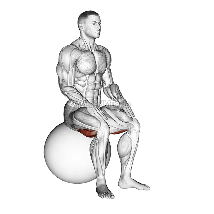 Exercise Ball Seated Hamstring Stretch demonstration