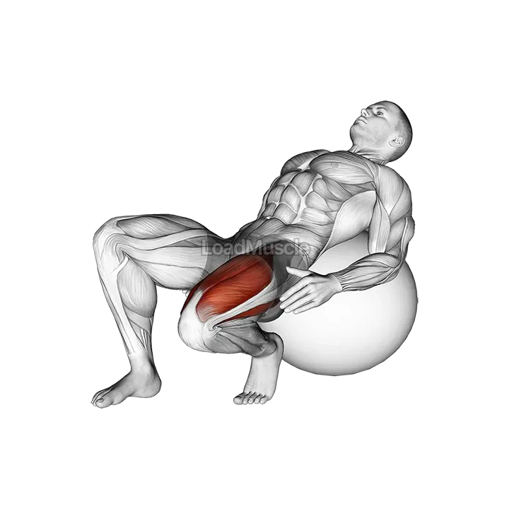 Exercise Ball Seated Quad Stretch demonstration