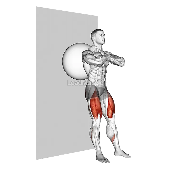 Exercise Ball Wall Squat demonstration