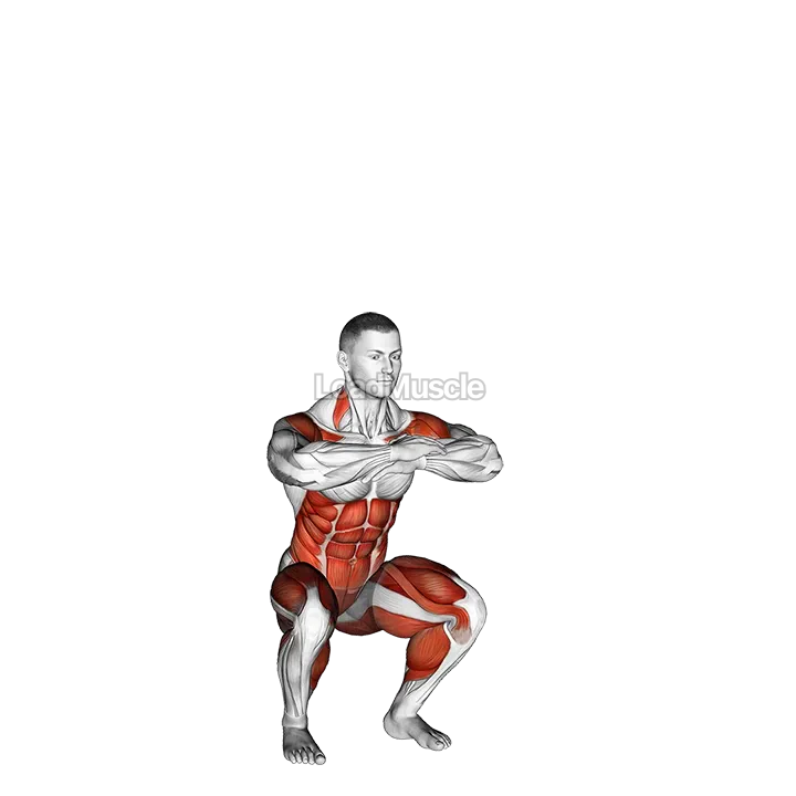 Knee Tuck Jump demonstration