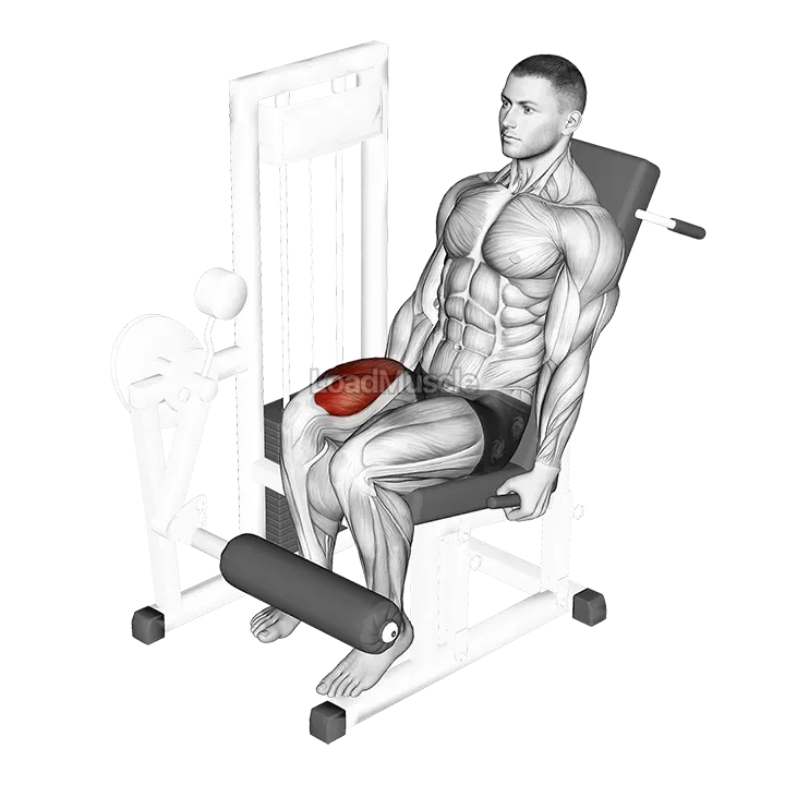 Lever One Leg Extension demonstration