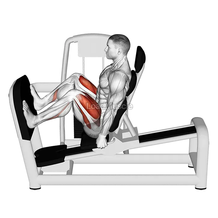 Lever Seated Wide Squat demonstration