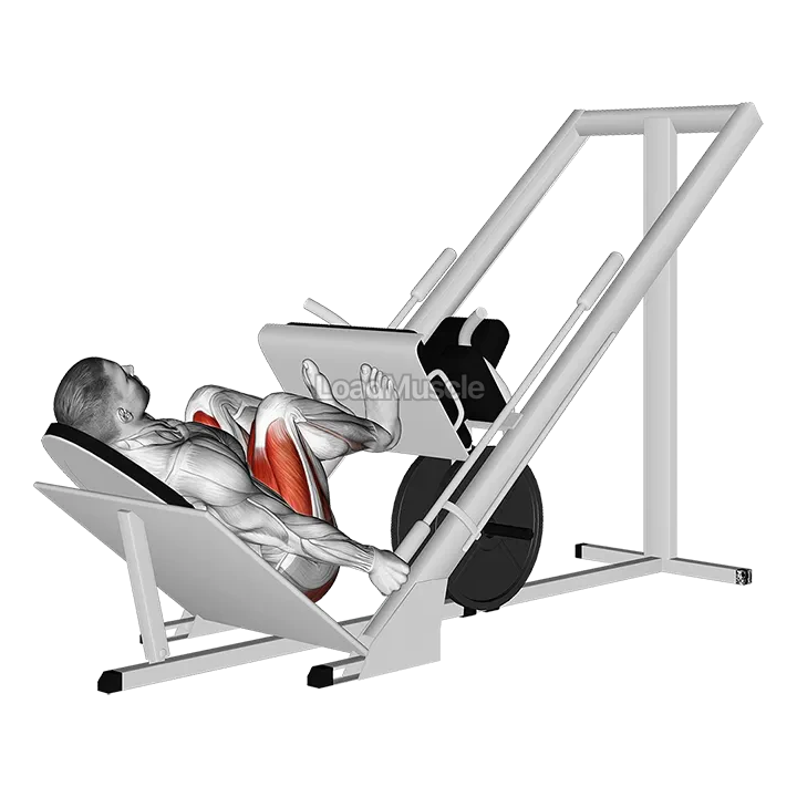 Sled 45° Narrow Stance Leg Press demonstration
