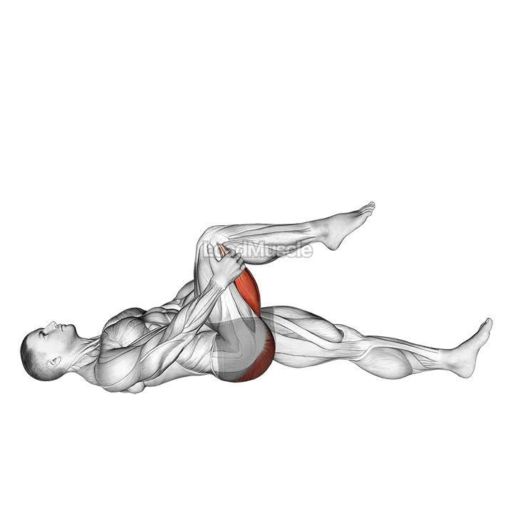 Leg Up Hamstring Stretch demonstration