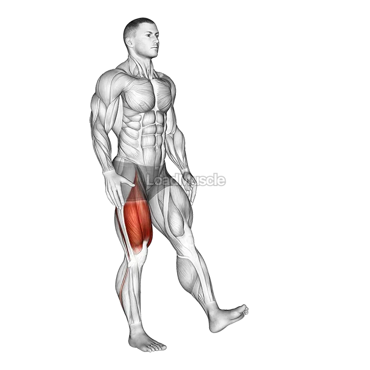 One Leg Quarter Squat demonstration