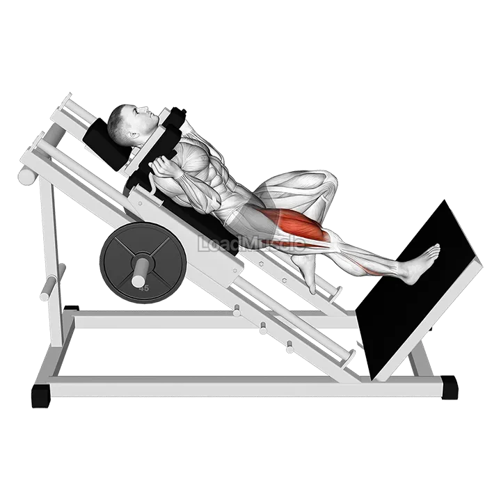 Sled One Leg Hack Squat demonstration