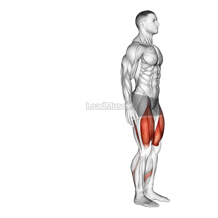 Bodyweight Rear Lunge demonstration