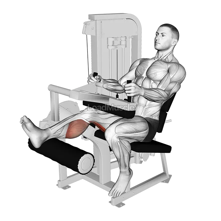 Lever Seated One Leg Curl demonstration