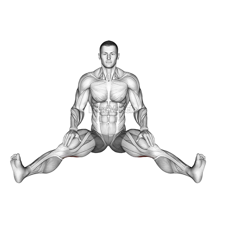 Seated Wide Angle Pose Sequence demonstration