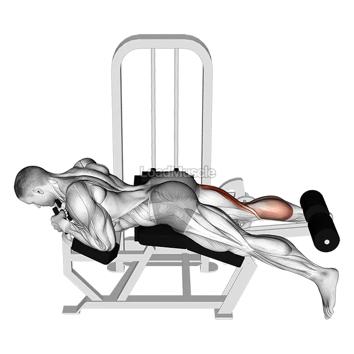 Lever Lying Single Leg Curl demonstration