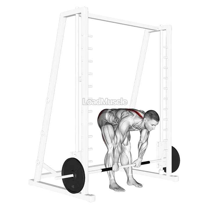 Smith Stiff Legged Deadlift demonstration