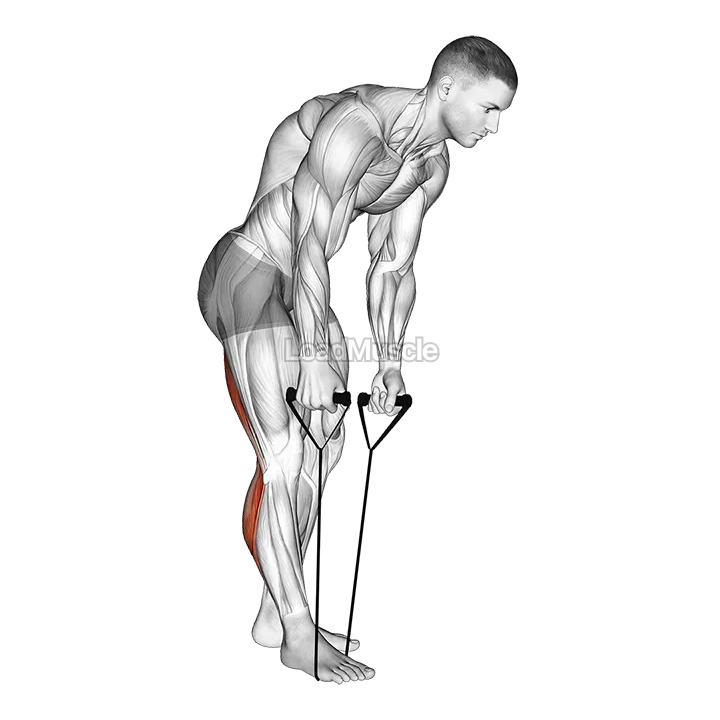 Standing Hamstring and Calf Stretch with Strap demonstration