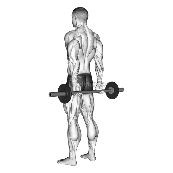 Barbell Behind Back Finger Curl demonstration