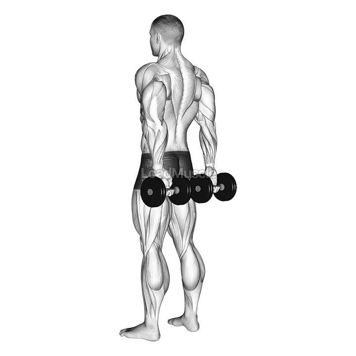 Dumbbell Behind Back Finger Curl demonstration