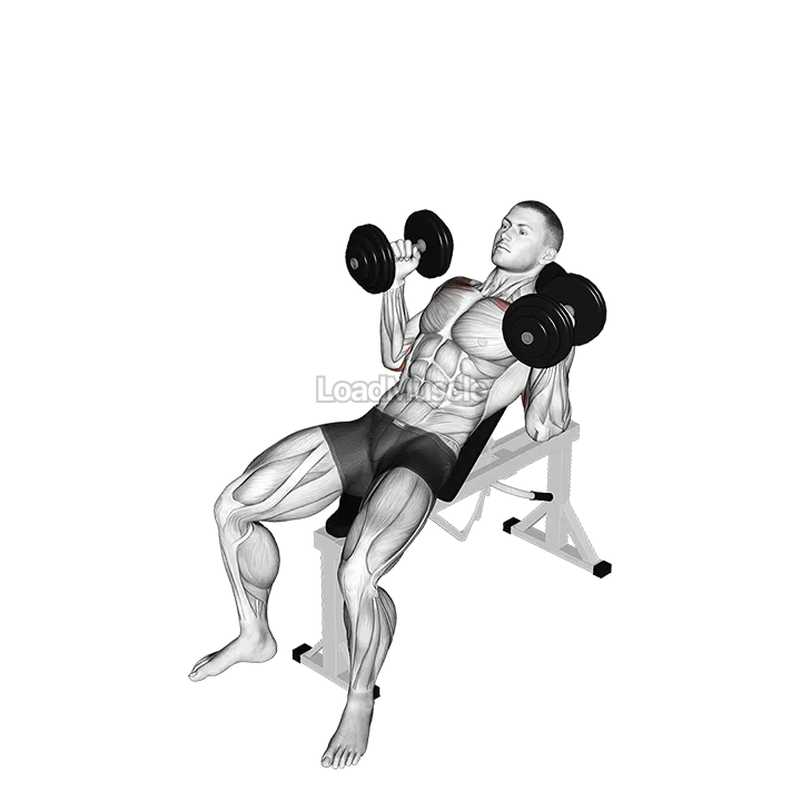 Dumbbell Palms In Incline Bench Press demonstration