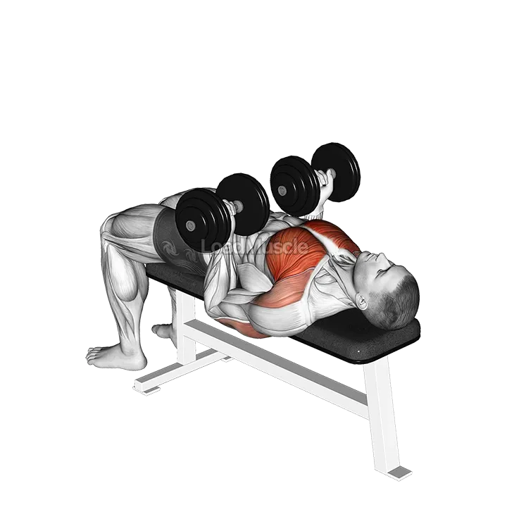 Dumbbell Reverse Bench Press demonstration