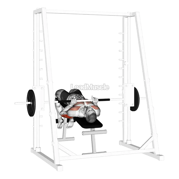 Smith Machine Decline Close Grip Bench Press demonstration