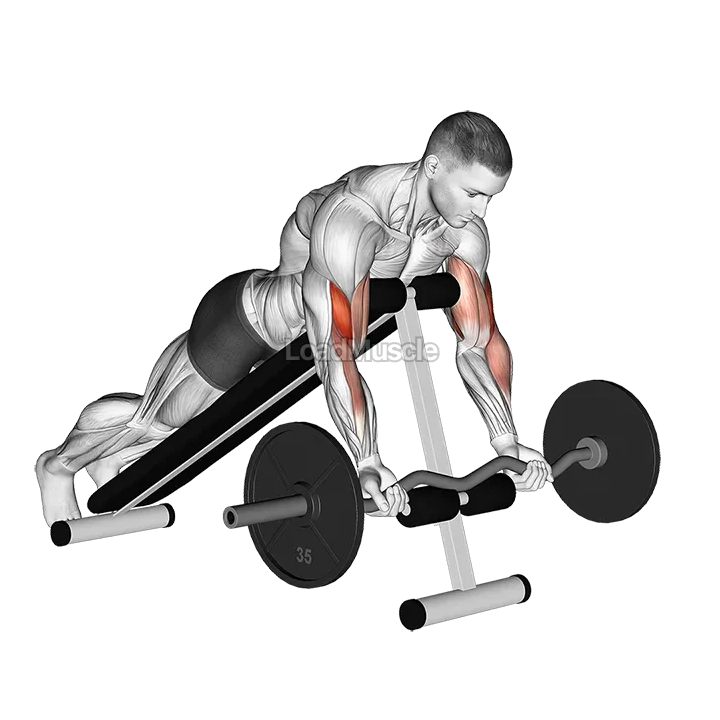 EZ Barbell Spider Curl demonstration