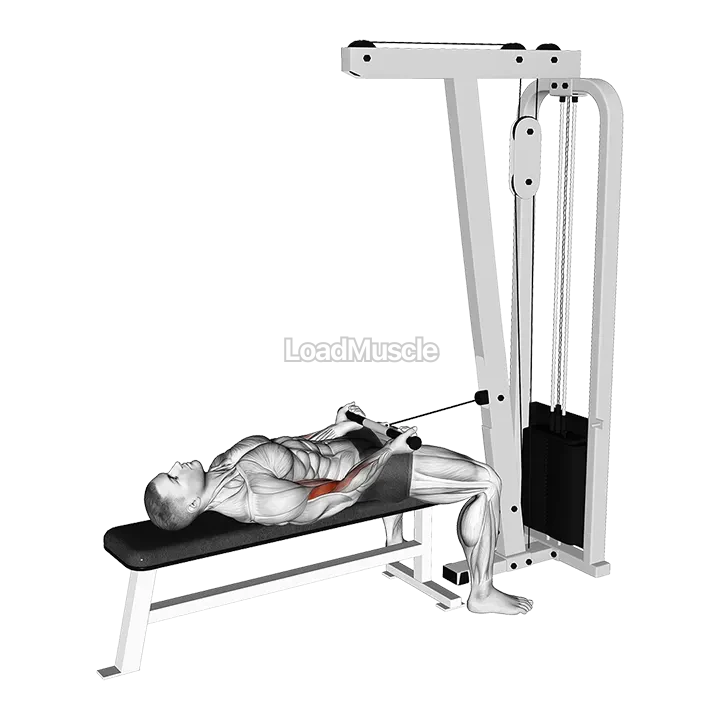 Cable Lying Bicep Curl demonstration