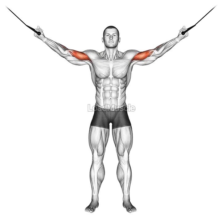 Cable Overhead Curl demonstration