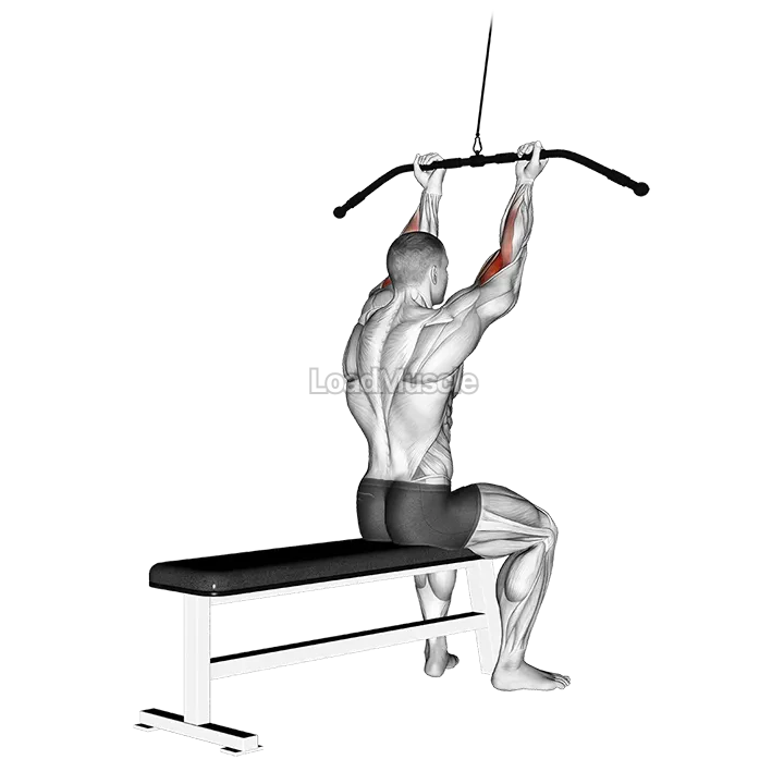 Cable Pulldown Bicep Curl demonstration