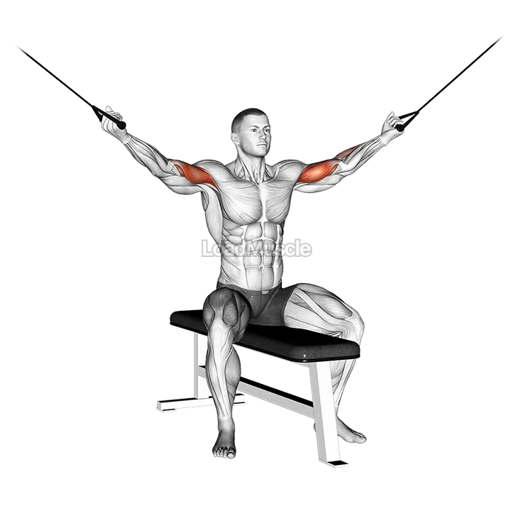 Cable Seated Overhead Curl demonstration