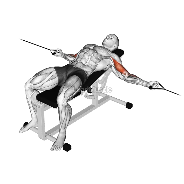 Cable Two Arm Curl on Incline Bench demonstration