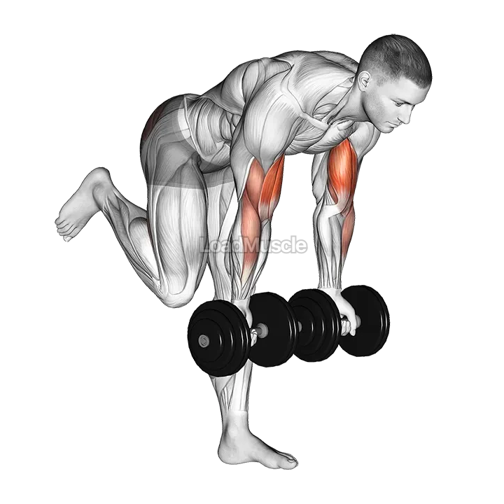 Dumbbell Bicep Curl With Stork Stance demonstration