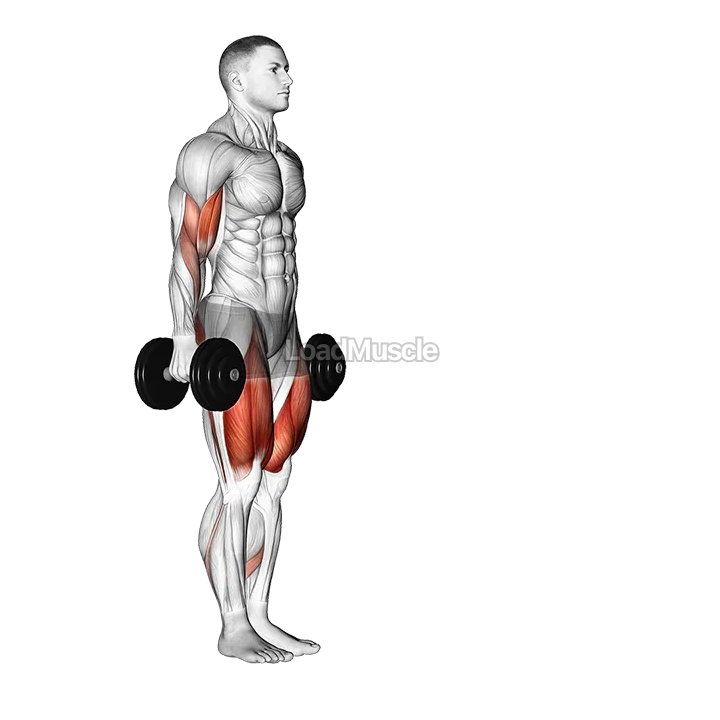 Dumbbell Lunge with Bicep Curl demonstration