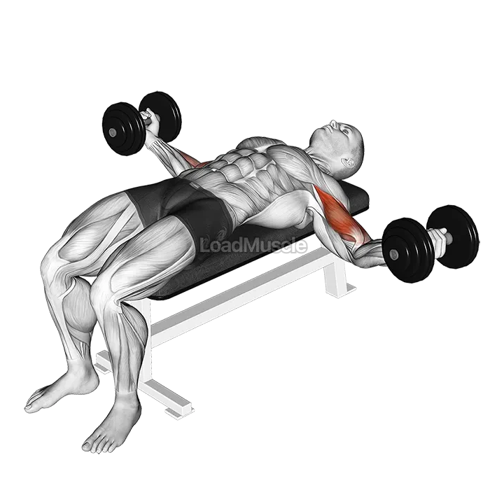 Dumbbell Lying Wide Curl demonstration