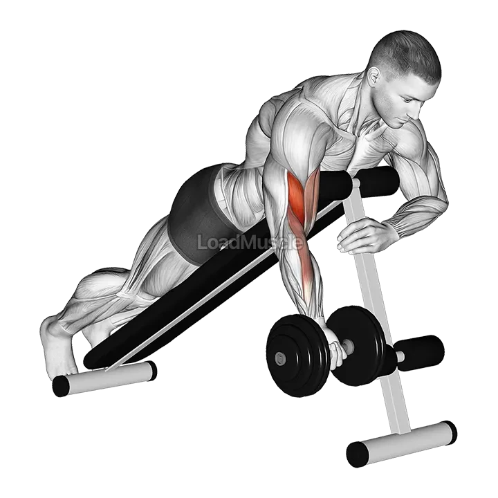 Dumbbell One Arm Prone Curl demonstration